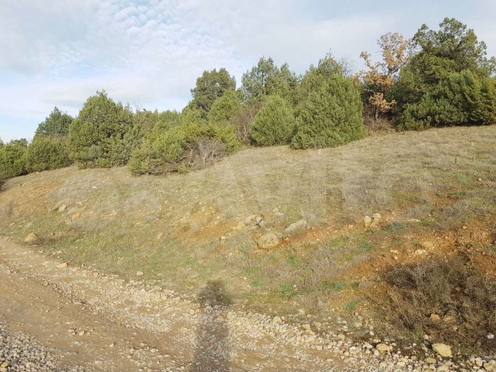 Участок 9 сот. (СНТ, ДНП)