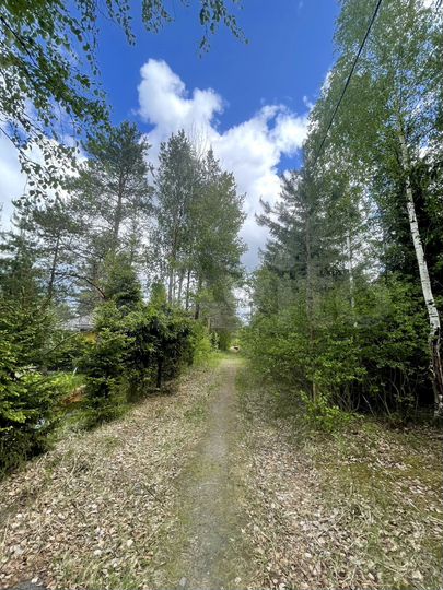 Участок 9,2 сот. (СНТ, ДНП)