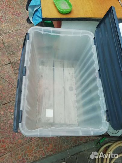 Контейнер пластиковый 30 на 40 см