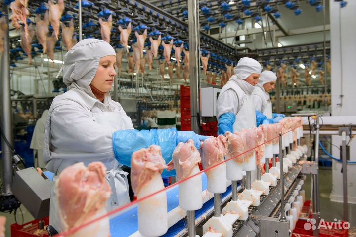 Разнорабочий на фабрику Саратов