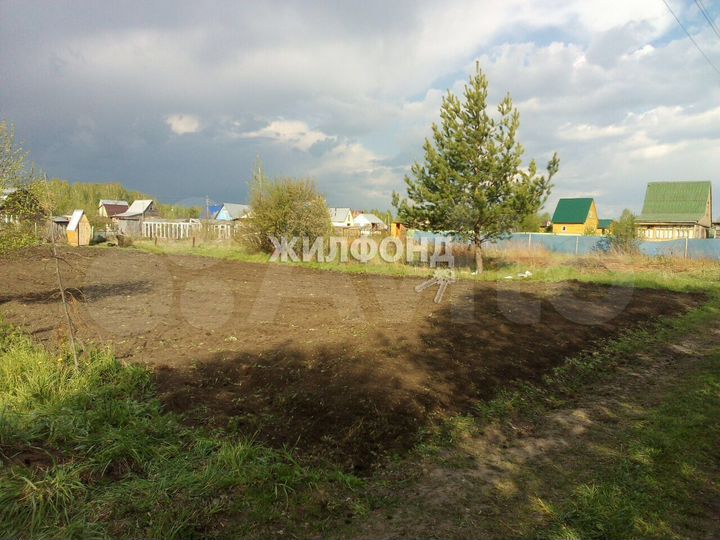 Участок 8 сот. (СНТ, ДНП)