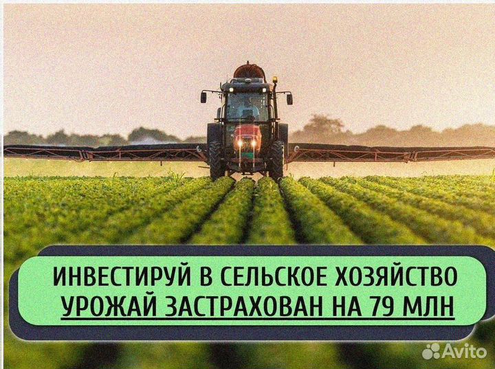 Ищу инвестора в сх. Доход до 50%