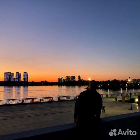 Репетитор по математике и физике, Москва