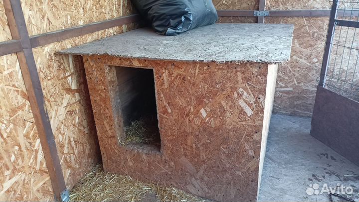 Вольер для собак