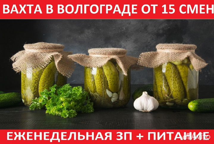 Сортировщица(щик)с еженедельной оплатой и питанием