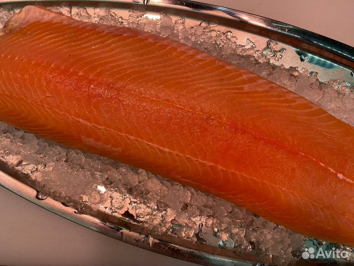 Лосось филе слабосолённый. Оптом