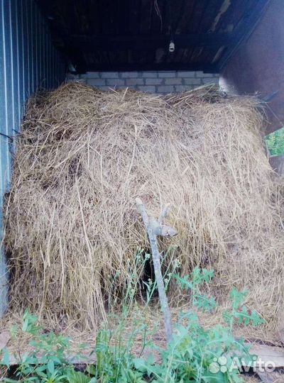 Сено луговое