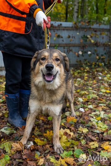 Малыш ищет дом