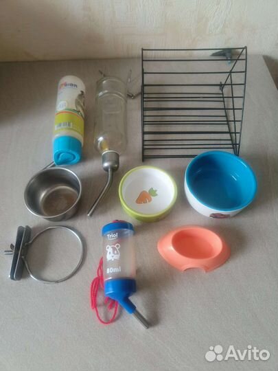 Для морских свинок