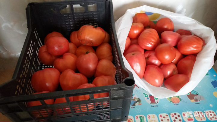Томаты свежие