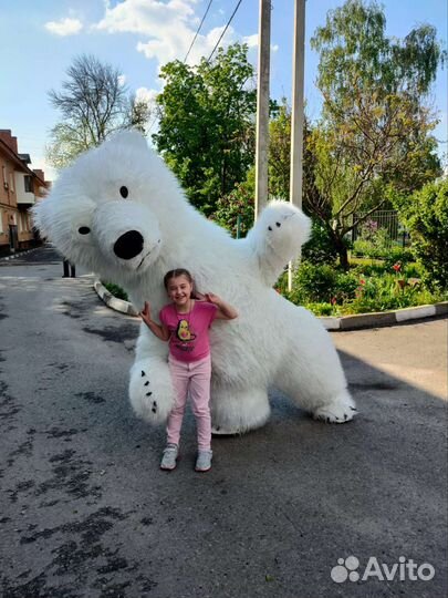 Белый мишка поздравления/мишка аниматор/аниматоры