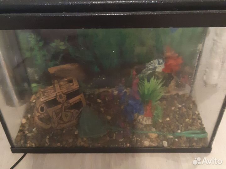 Аквариум