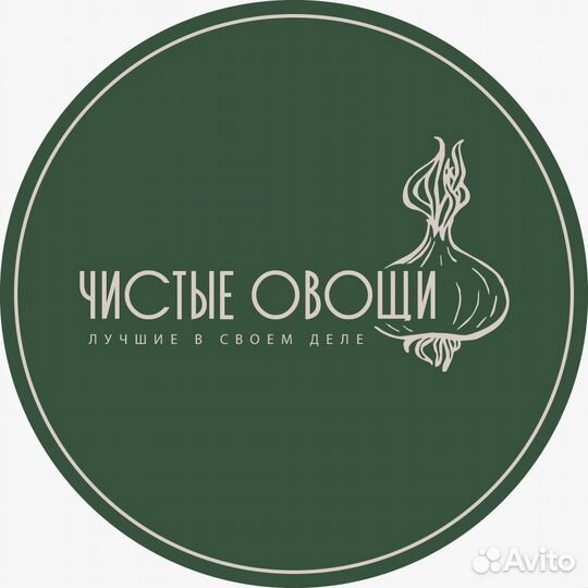 Лук очищенный