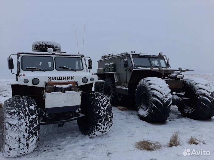 Аренда Услуга Вездеход Хищник Трэкол 2023г