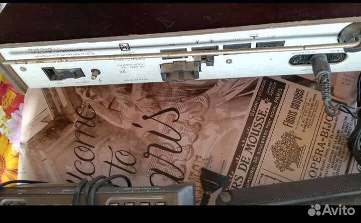 Тюнер радиотехника-101с колонками