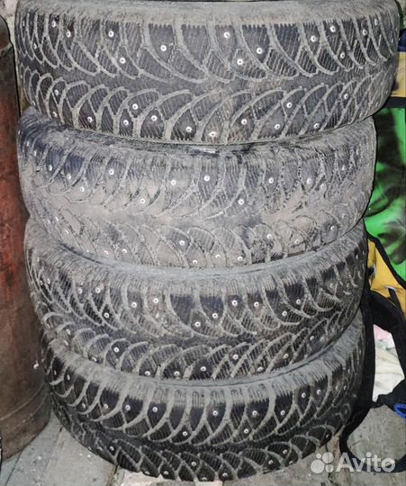 Tunga Nordway 2 12.5