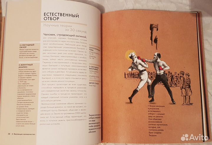 Научные теории за 30 секунд