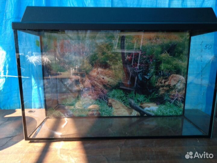 Аквариум