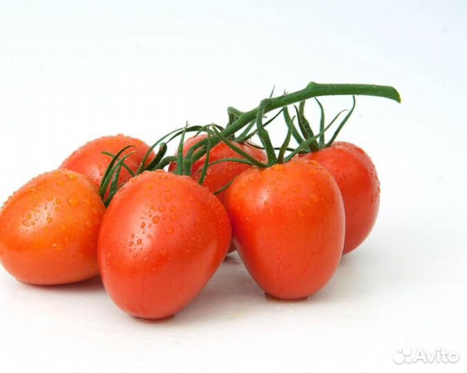 Семена Томата 