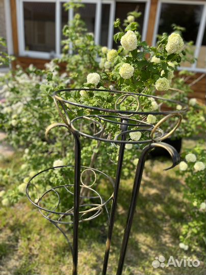 Напольная кованая стойка для цветов