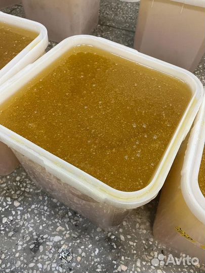 Свежий донник оптом