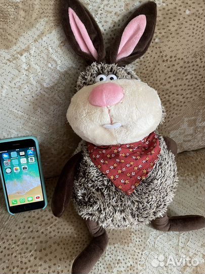 Заяц новый, молодой