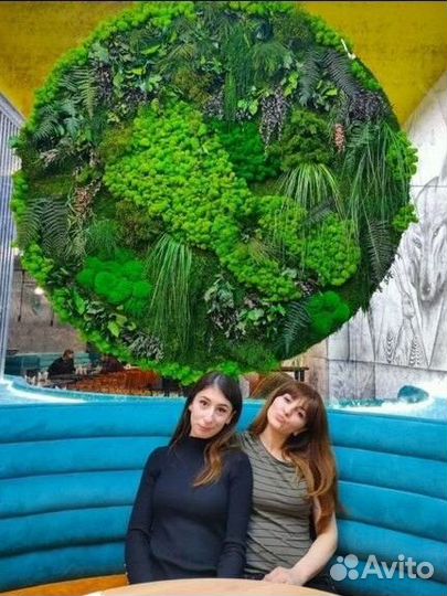 Мох в интерьере