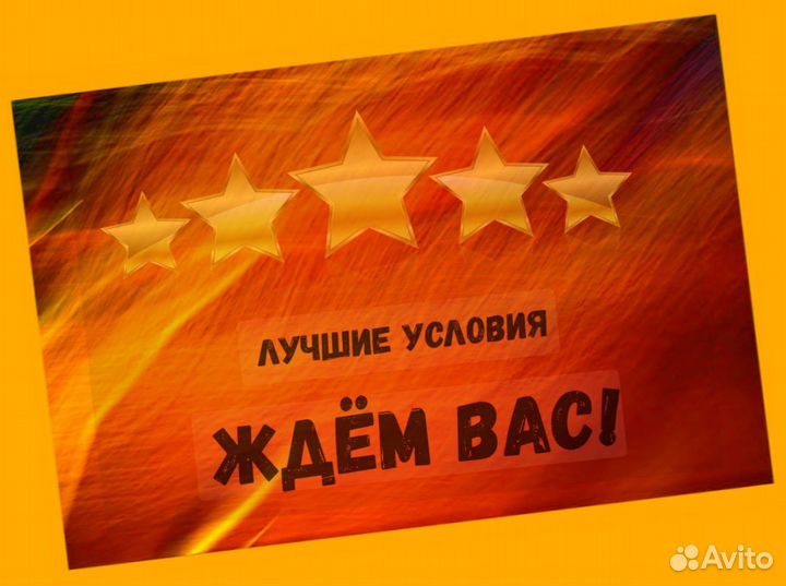 Сборщик заказов Выплаты еженедельно Без опыта М/Ж