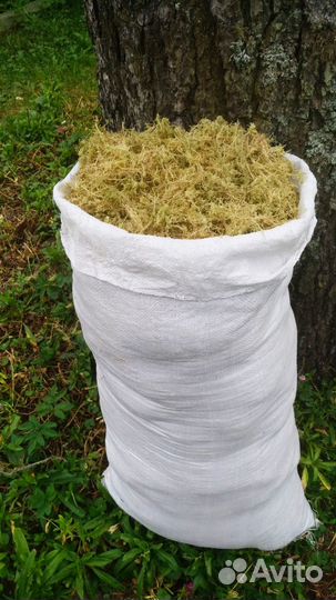 Мох сфагнум сухой