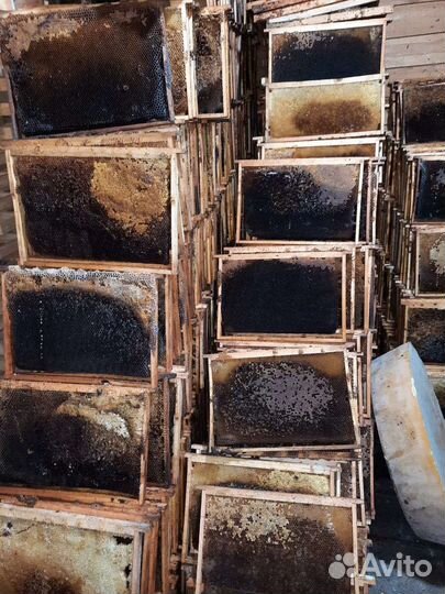 Рамки для ульев дадан