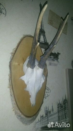 Натуральное панно 