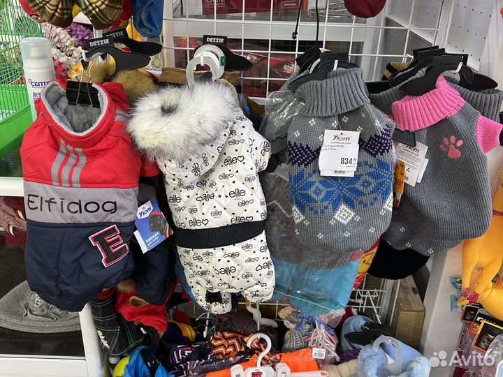 Одежда для собак