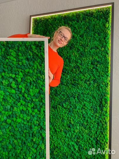 Панели панно фитостены мох стабилизированный