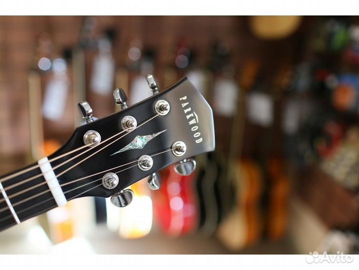 Parkwood S22-GT акустическая гитара с чехлом