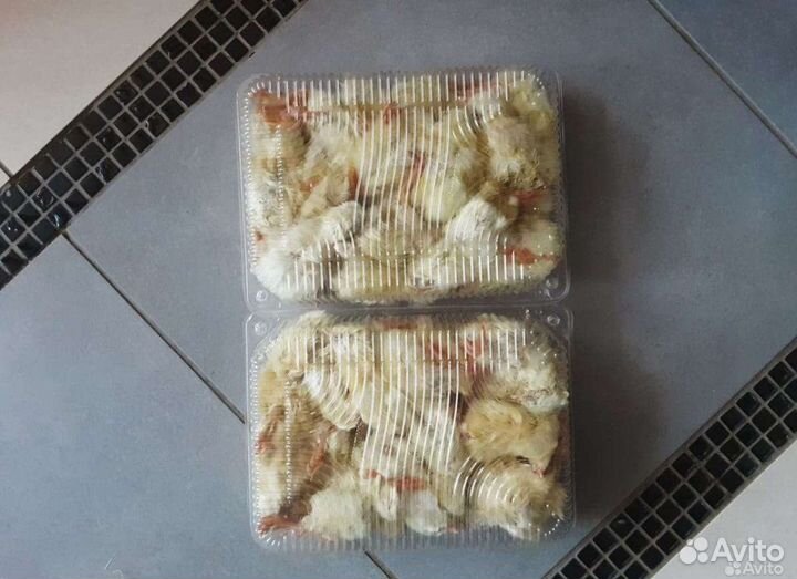 Цыплята суточные замороженные
