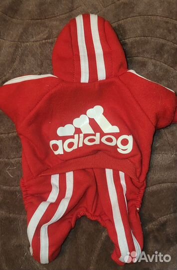 Одежда для маленьких собак xs