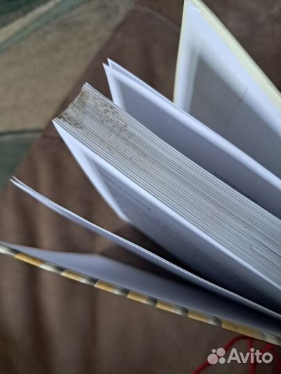 Вопрос - половинка сердца. Лундберг София