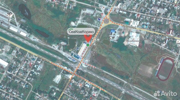 Рыбий жир Фармакс 100, 330, 500 1000 мл