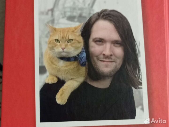 Уличный кот по имени боб