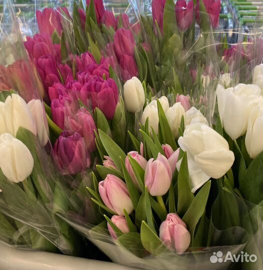 Тюльпаны к 8 марта доставка