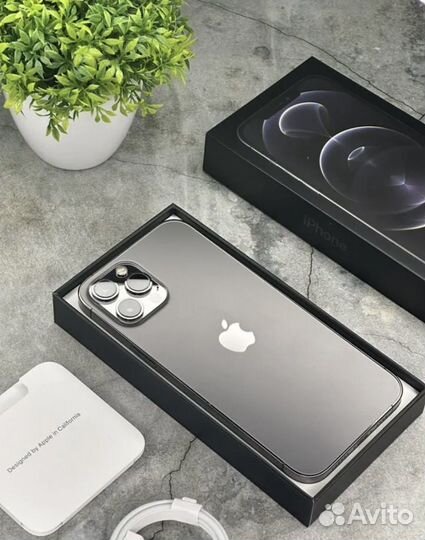 iPhone 12 Pro Max, 256 ГБ