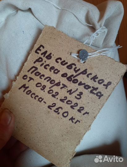 Семена ели на заказ