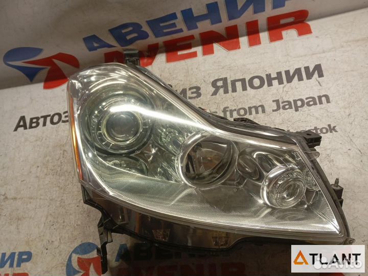 Фара передняя правая nissan fuga