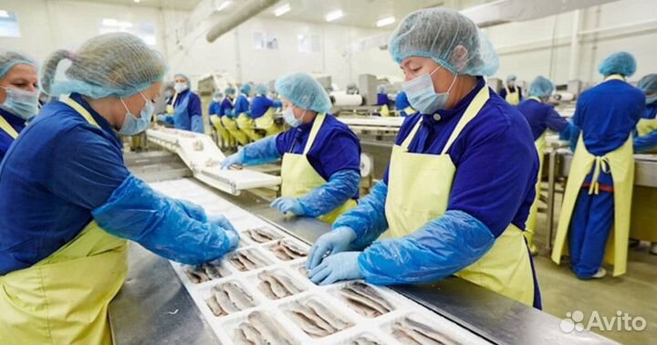 Оператор на линию производства