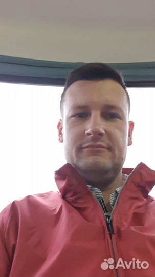 Семейный юрист алименты развод раздел имущества