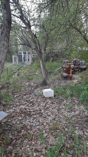 Участок 4 сот. (СНТ, ДНП)