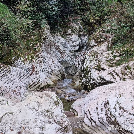 Джип тур Волчья пасть / каньоны грязи дегустации