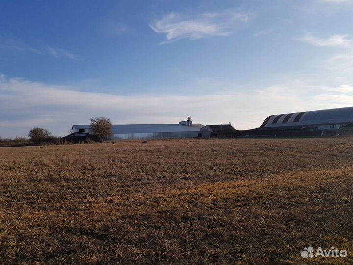 Кфх (фермерское хозяйство) 16.9 Га