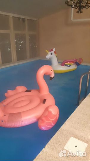 Баня с теплым бассейном и зоной барбекю