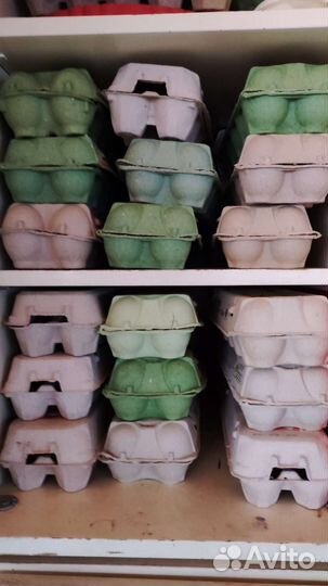 Упаковка картонная для яиц